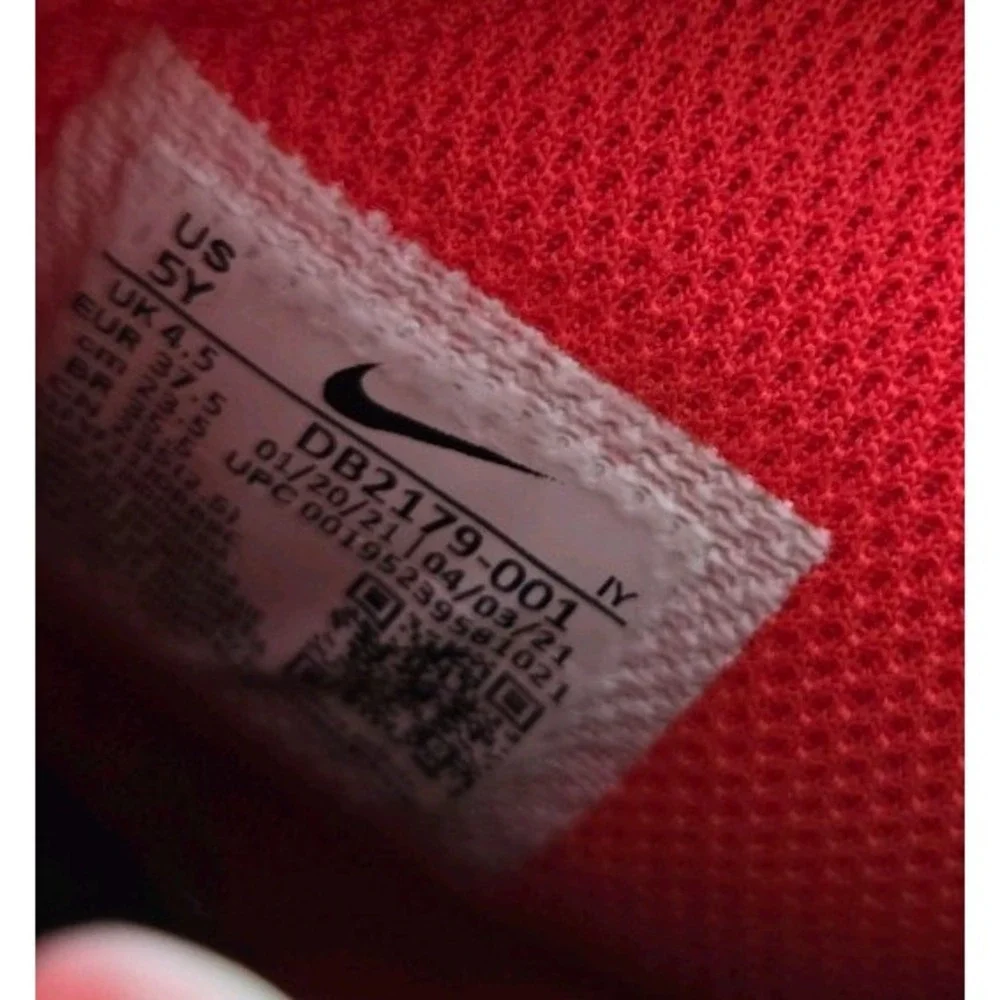 NIKE YOUTH DUNK HIGH 